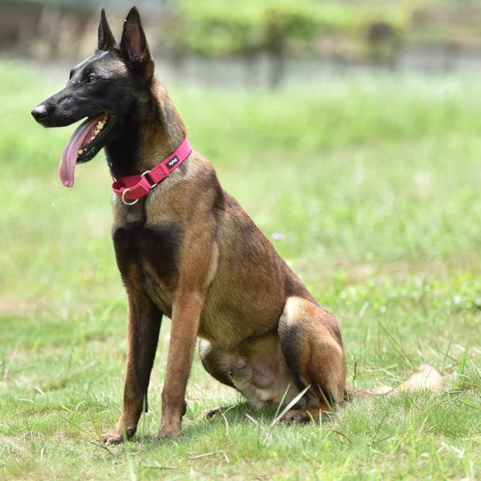 Hyhug Martingale Collar for Dogs Large Pink |Escape - Proof Heavy Duty Nylon Durable No Pull, Ideal for Training & Daily Walks