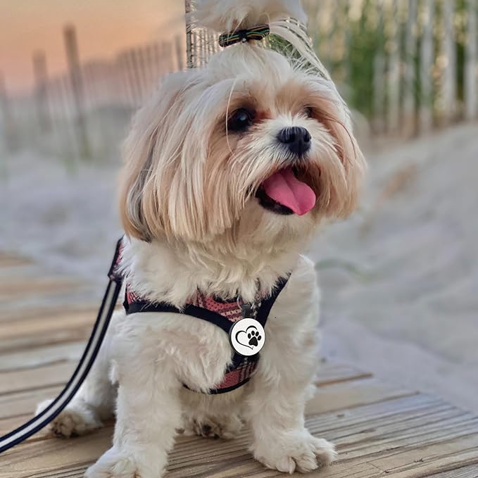 MYLUCKYTAG Silent Silicone QR Code Dog Tags - Scan QR for Instant Pet Location Alert Email