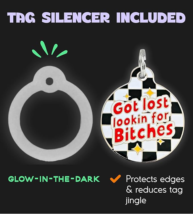 Personalized QR Code Dog Tags - Choose from 25+ Tag Designs - QR Code Links to Your Profile - Unique, Cute, Funny, Sassy Pet ID Tag (Got Lost Lookin for B*tches, Large (1.25 inch))