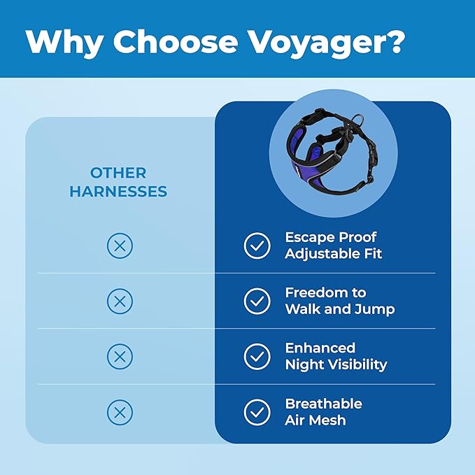 Voyager Escape-Proof Step-In Lock Cat Harness & 5ft Neoprene-Handle Leash Set All-Weather Mesh with Reflective Stitching For Small to Large Cats by Best Pet Supplies, Black Trim-Royal Blue (327), XXXS