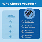 Voyager Escape-Proof Step-in Lock Cat Harness & 5ft Neoprene-Handle Leash Set All-Weather Mesh with Reflective Stitching for Small to Large Cats by Best Pet Supplies, Black Trim-Royal Blue (327), XS