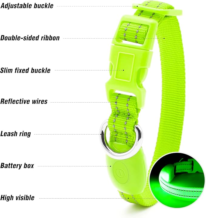 Visinite Light Up Dog Collars for Small Dogs,LED Dog Collar Light Rechargeable,Fully Adjustable Lighted Dog Collar,Glow in The Dark Dog Collars with Dog Lights for Night Walking,Green