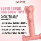 Bullibone SuperBrush: Dog Teeth Cleaning Brushing Toothbrush Stick - Long Lasting Nylon Pink Peppermint Chew Toy for Oral Care and Dental Health
