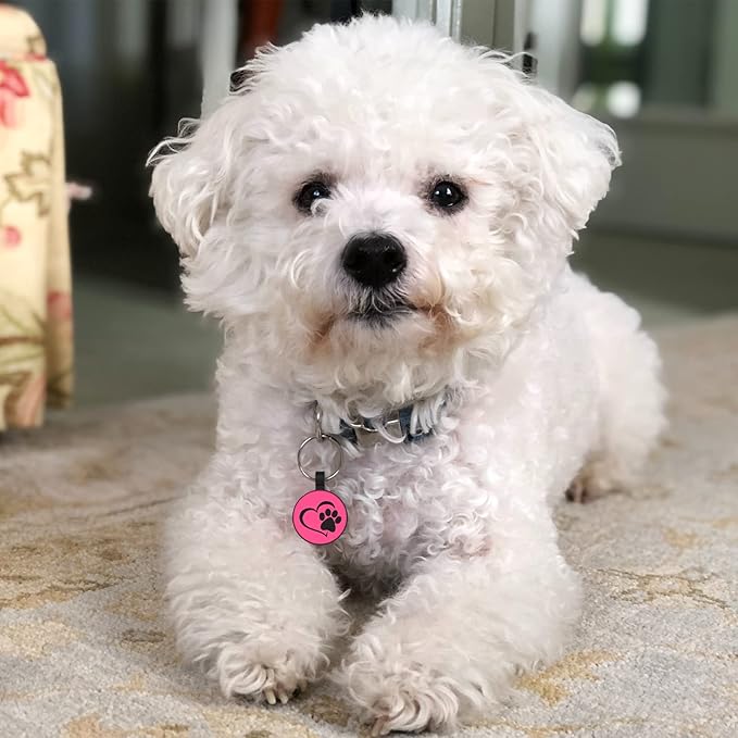 Myluckytag QR Code Silicone Dog & Cat ID Tag - Quiet, Durable, Engraved, Digital Pet Location Alert Email Tag for Dogs and Cats