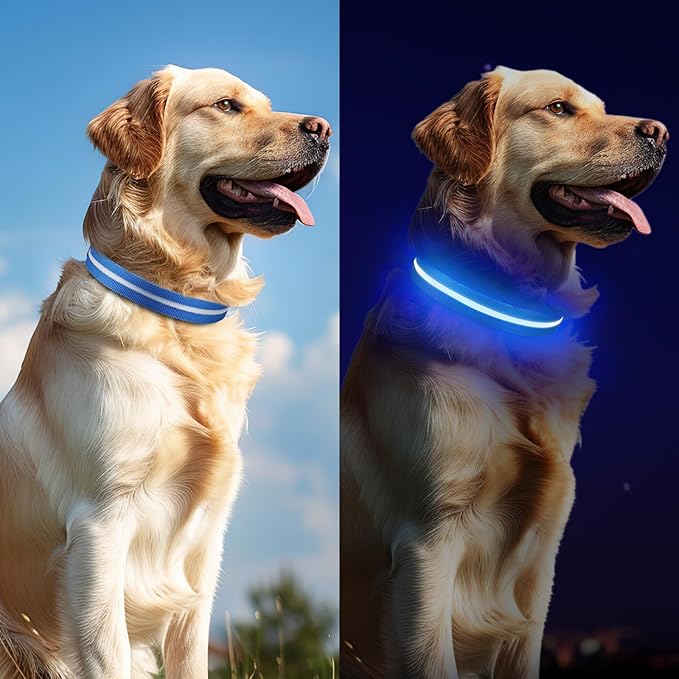 Light Up Dog Collar, Adjustable USB Rechargeable Glow in Dark Dog Collar ，Waterproof Dog Collars for Large Dogs (Blue, Large)