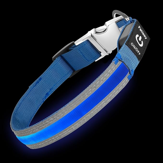 PetIsay LED Dog Collar Metal Buckle - Heavy Duty Light up Collars - Rechargeable IP68 Waterproof - Lighted Dog Collar for Night Walking, Hiking, Camping (Small, Blue)