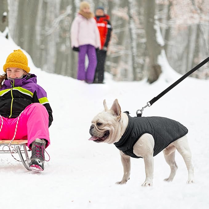 SCENEREAL Winter Dog Vest Coat with Harness Built In, Warm Puppy Jacket for Small Medium Dogs, Cold Weather Coats with Zipper, Fleece Puffer Vest Windproof Snow Clothes