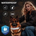 PetIsay LED Dog Collar Metal Buckle - Heavy Duty Light up Collars - Rechargeable IP68 Waterproof - Lighted Dog Collar for Night Walking, Hiking, Camping (Small, White)