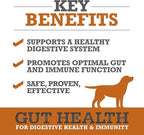 WINPRO Dog Gut Health Supplements – Plasma-Powered Chews for Dog Immune Support & Digestive Health, Fast-Acting Solution for Gut Health for Dogs of All Breeds & Sizes, 60 Count, Made in USA