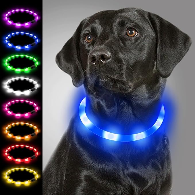 Joytale Light Up Dog Collar, Rechargeable Rainproof LED Collar for Night Walking Safety, Soft Silicone Glow in The Dark, Suitable for Small Medium Large Dogs, Blue