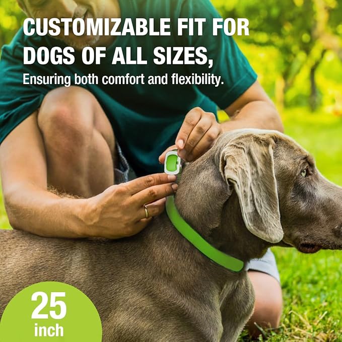 EcoVenger Flea Collars for Dogs & Cats - Flea & Tick Repellent 2-Pack Green. Built-in Pant-Based Formula Strong Repellency Slow Release, Lasting Protection, Pleasant Aroma, Waterproof