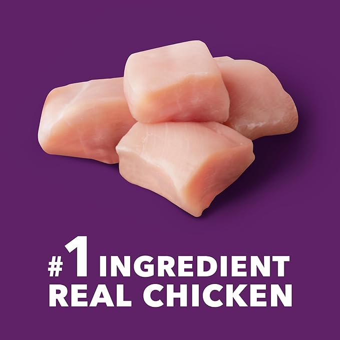 IAMS Advanced Health Mobility Support Chicken and Whole Grain Recipe Adult Dry Dog Food, 13.5 lb. Bag