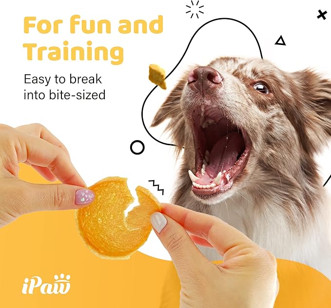 iPaw Turkey Chips Dog Treats for Puppy Training, All Natural Human Grade Dog Treat, Ingredient Sourced from USA, Hypoallergenic, Easy to Digest (Turkey Chips), 3 Packs