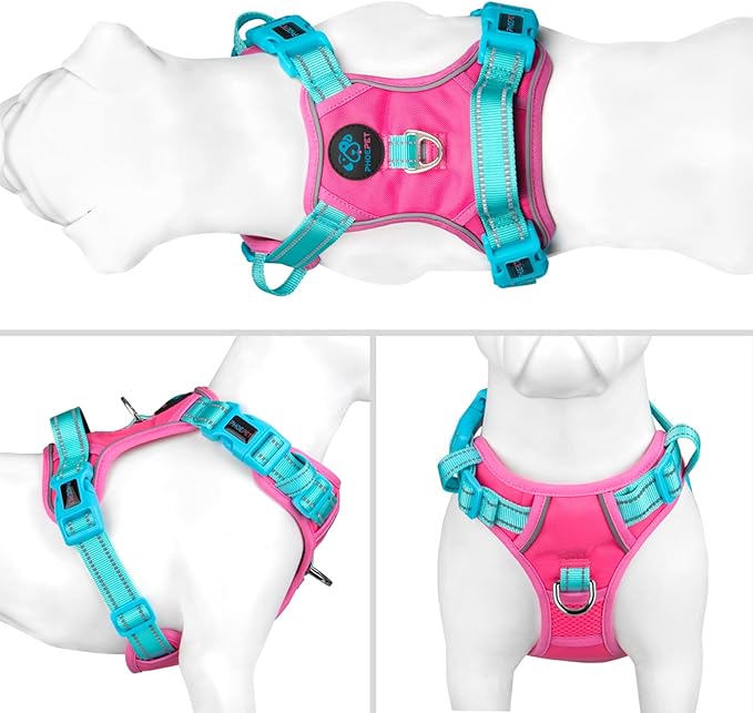 PHOEPET No Pull Dog Harness, Unique Colors Reflective Adjustable Dog Vest, with Soft Training Handle Metal Clips for Small Medium Large Dogs (Pink Base & Green Straps,XL)