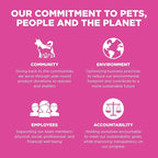 Go! Solutions Skin + Coat Care, Dry Cat Food, Chicken Recipe with Grains, 16 lb Bag