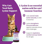 Special Breed L-Lysine for Cats & Kittens – Immune, Respiratory & Eye Health Support – Liquid Cat Supplement with Astragalus, Burdock, Atractylodes, Dangshen & Vitamins A, B1, B2, B6 – 8oz (240mL)