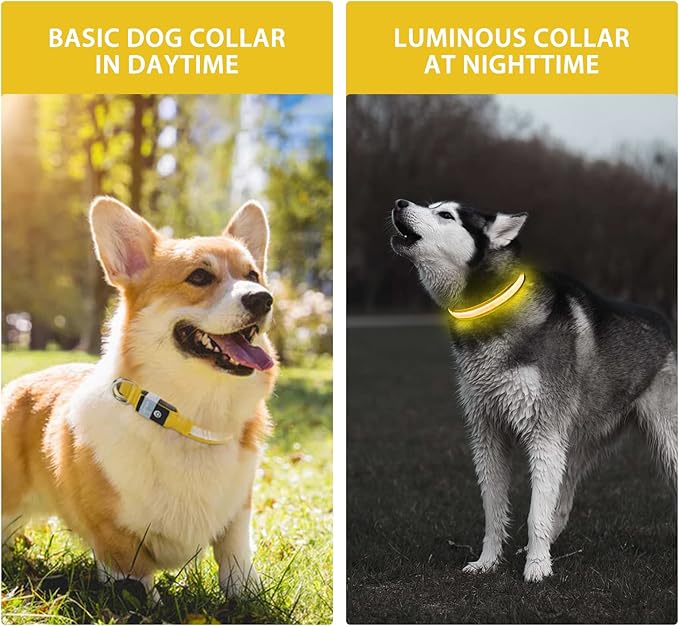 PcEoTllar Light up Dog Collar for Night Walking - LED Dog Collar Light Rechargeable Color Changing, Glow in The Dark Dog Collars Waterproof Glowing Dog Collars for Large Small Medium Dogs