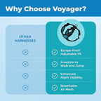 Voyager Escape-Proof Step-in Lock Cat Harness & 5ft Neoprene-Handle Leash Set All-Weather Mesh with Reflective Stitching for Small to Large Cats by Best Pet Supplies, Black Trim-Turquoise (327), XS