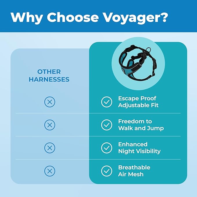 Voyager Escape-Proof Step-in Lock Cat Harness & 5ft Neoprene-Handle Leash Set All-Weather Mesh with Reflective Stitching for Small to Large Cats by Best Pet Supplies, Black Trim-Turquoise (327), XXXS