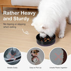 Sted Ceramic Slow Feeder Bowl for Medium Large Breed Dogs - Puzzle Food Bowl With Silicone Base for Fast Eaters, Slows Down Eating - Maze Black