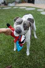 Jax & Bones Squeaky Dog Toys - 11" Tough Wool Squeak Toy for Dogs - Reinforced Seams for Moderate Chewers | Tricky Sam