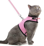 PUPTECK Soft Mesh Cat Vest Harness and Leash Set Puppy Padded Pet Harnesses Escape Proof for Cats Small Dogs, Pink Large
