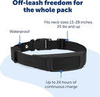 PetSafe Guardian GPS Dog Fence Add-A-Dog Collar - Add-On for Guardian GPS Dog Fence System - Backed with AccuGuard Technology - Tone, Vibration & 10 Levels of Static Correction - Black