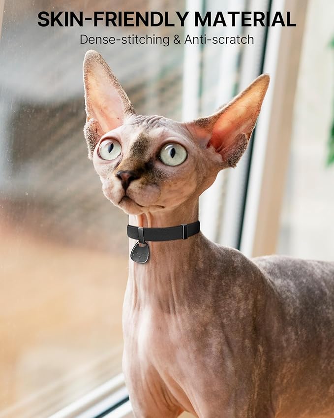 Cat Collar with QR Code Name Tag, Breakaway Kitten Collar for Boy & Girl Cats, Ultra Soft Elastic Adjustable Band, Safety Break Away Buckle, Comfortable & Secure Pet ID Collar (6"-12"), Black