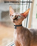 Cat Collar with QR Code Name Tag, Breakaway Kitten Collar for Boy & Girl Cats, Ultra Soft Elastic Adjustable Band, Safety Break Away Buckle, Comfortable & Secure Pet ID Collar (6"-12"), Black