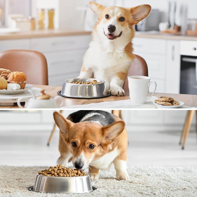 Flexzion Stainless Steel Dog Bowl No Mess Non Spill Dog Water Bowl Rubber Base Dog Bowls for Medium Sized Dog, Food and Water Dish, Pet Food Holder, 22 cm