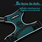 rabbitgoo Dog Harness No Pull with 2 Leash Clips, Adjustable Soft Padded, Reflective Oxford No Choke Pet Vest with Easy Control Handle for Large Dogs, Teal, XL