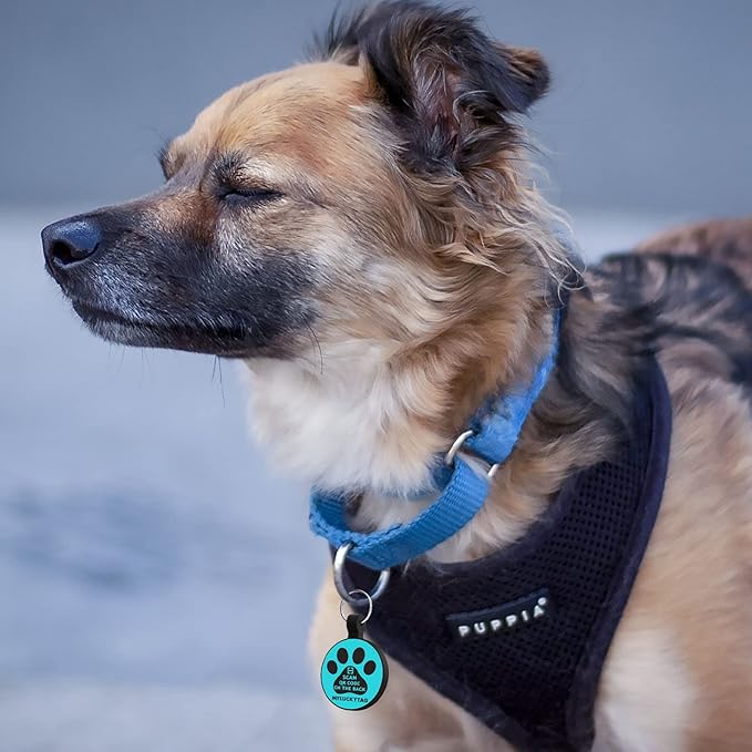 MYLUCKYTAG QR Code Dog Cat ID Tag - Durable, Digital, Quiet, Engraved - Online Pet Profile & Location Alert