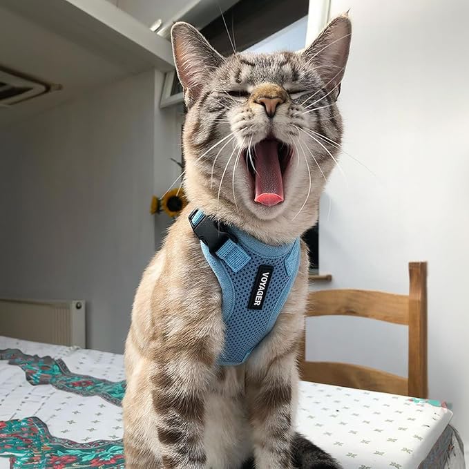 Voyager Escape-Proof Step-in Lock Cat Harness & 5ft Neoprene-Handle Leash Set All-Weather Mesh with Reflective Stitching for Small to Large Cats by Best Pet Supplies, Baby Blue, XXS