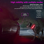 Light Up Dog Collar at Night, Led Dog Collar Adjustable, Lighted Dog Collar Rechargeable Waterproof, Dog Lights for Night Walking, Glow in The Dark Dog Collars Light for Medium Large Dogs PM