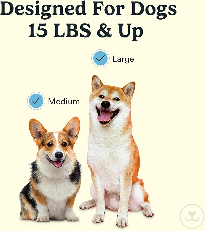 Jasper Macrobrush 360º, Dog Toothbrush for Medium to Large Dogs, Soft-Bristled Dog Tooth Brushing Kit - Premium Non-Slip Handle with 2 Replaceable Tooth Brush Heads, Use with Pet Toothpaste