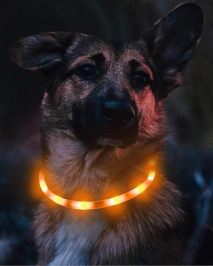 Joytale Light Up Dog Collar, Rechargeable Rainproof LED Collar for Night Walking Safety, Soft Silicone Glow in The Dark, Suitable for Small Medium Large Dogs, Orange