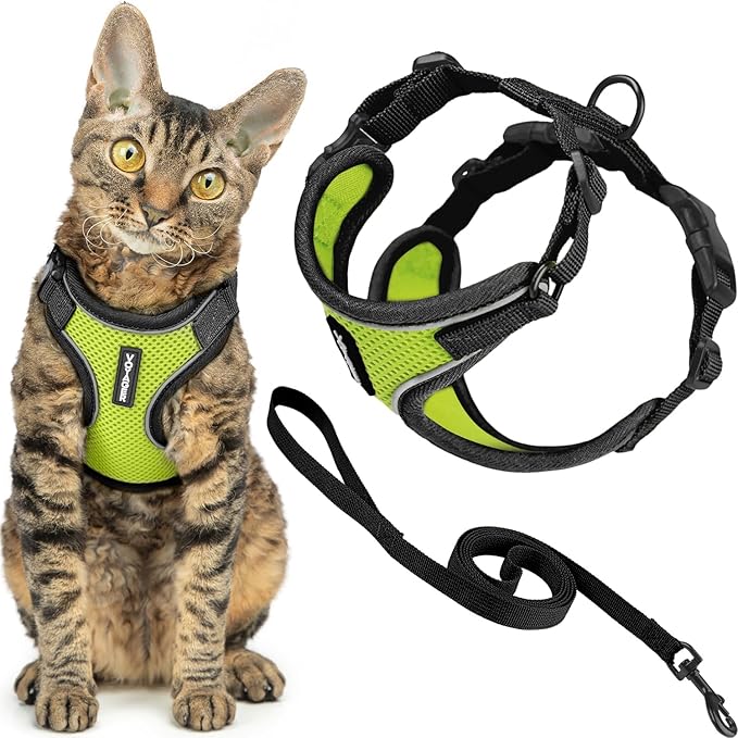 Voyager Escape-Proof Step-in Lock Cat Harness & 5ft Neoprene-Handle Leash Set All-Weather Mesh with Reflective Stitching for Small to Large Cats by Best Pet Supplies, Black Trim-Lime (327), XXS