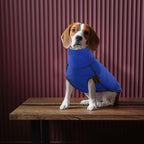 ROZKITCH Dog Winter Coat Soft Pullover Pajamas, Pet Windproof Warm Cold Weather Jacket Vest Cozy Onesie Jumpsuit Apparel Outfit Clothes for Small, Medium, Large Dogs Walking Hiking Travel Sleep Blue