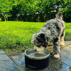 Coldest Dog Bowl - Anti Rust Metal, Non Slip, 3 Layers Insulated Stainless Steel Dog Bowls - Spill Proof & Heavy Duty - Water Bowl for Dogs, Cats & Pets, Dish Washer Safe (64 oz,Cotton Candy Pink)