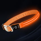 LED Dog Collar with Metal Buckle - USB Rechargeable Glow Collar for Dogs, Waterproof Light Up Dog Collar w/Reflective Strips - Adjustable Night Safety Collars by PetIsay(Orange,Large)