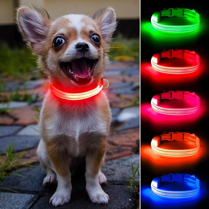Light Up Dog Collar for Small Dogs - Rechargeable LED Cat Collar, Adjustable Reflective Puppy Collar Glowing Safety Dog Lights for Night Walking (Red)