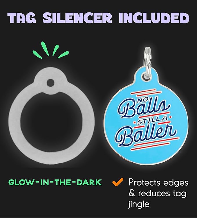 Personalized QR Code Dog Tags - Choose from 25+ Tag Designs - QR Code Links to Your Profile - Unique, Cute, Funny, Sassy Pet ID Tag (No Balls Still A Baller, Large (1.25 inch))