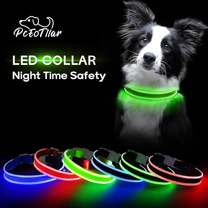 PcEoTllar Light up Dog Collars Rechargeable, LED Dog Collar Night Walking, Waterproof Flashing Glow in The Dark Dog Collars, Adjustable Dog Lights for Large Small Medium Dogs Green-m