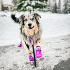 QUMY Dog Shoes for Large Dogs, Medium Dog Boots & Paw Protectors for Winter Snowy Day, Summer Hot Pavement, Waterproof in Rainy Weather, Outdoor Walking, Indoor Hardfloors Anti Slip Sole Purple Size 4