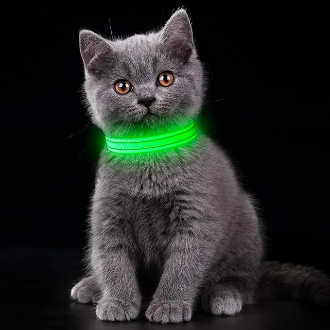 YFbrite Light up Dog Collars, USB Rechargeable LED Dog Collar, Adjustable LED Cat Collar, Durable Flashing Collar for Cats, Puppy, Small, Medium, Large Dogs (Green, XS)