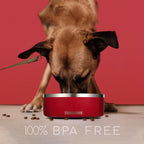 64 OZ Dog Bowl with Slow Feeder Insert Stainless Steel Pet Water Bowl for Medium & Large Breed Non Slip Rubber Base & Plastic Puzzle Feeder - Red