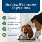 Blue Buffalo Homestyle Recipe Adult Wet Dog Food, Made with Natural Ingredients, Lamb Dinner With Garden Vegetables, 12.5-oz Can (Pack of 12)