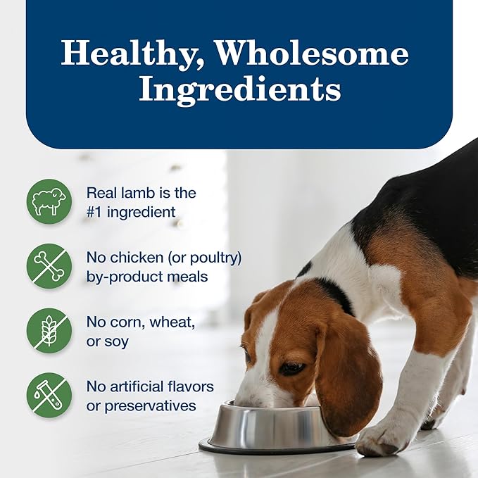 Blue Buffalo Homestyle Recipe Adult Wet Dog Food, Made with Natural Ingredients, Lamb Dinner With Garden Vegetables, 12.5-oz Can (Pack of 12)