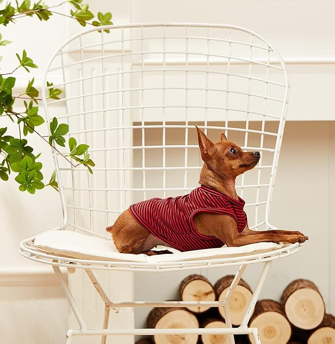 WEONE Dog Summer T-Shirts Striped Cotton Vest,Pet Breathable Soft Basic Clothes for Small Medium Larg Boy Girl Dogs,S