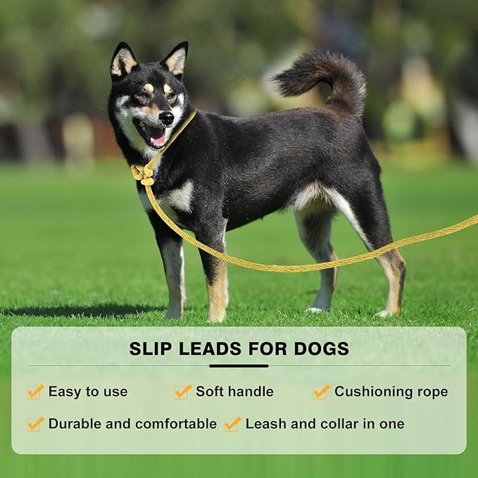 Lynxking Dog Leash Slip Lead Reflective Breathable Rope Comfortable Strong No Pull Slip On Pet Training Lead for Dogs